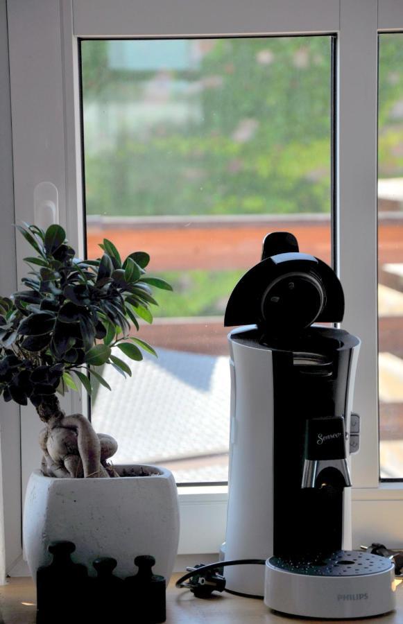 Gemuetliche Dachwohnung Mit Kleiner Oder Grosser Dachterrasse Nebeneinander Wolmirstedt エクステリア 写真